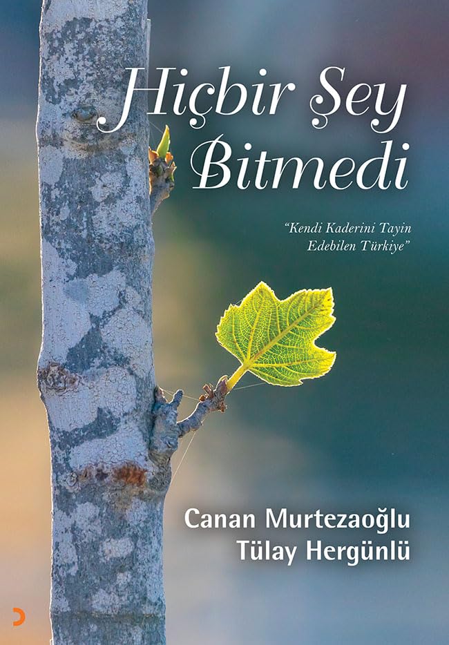 Hicbir Sey Bitmedi - Kendi Kaderinin Tayin Edebilen Türkiye Books
