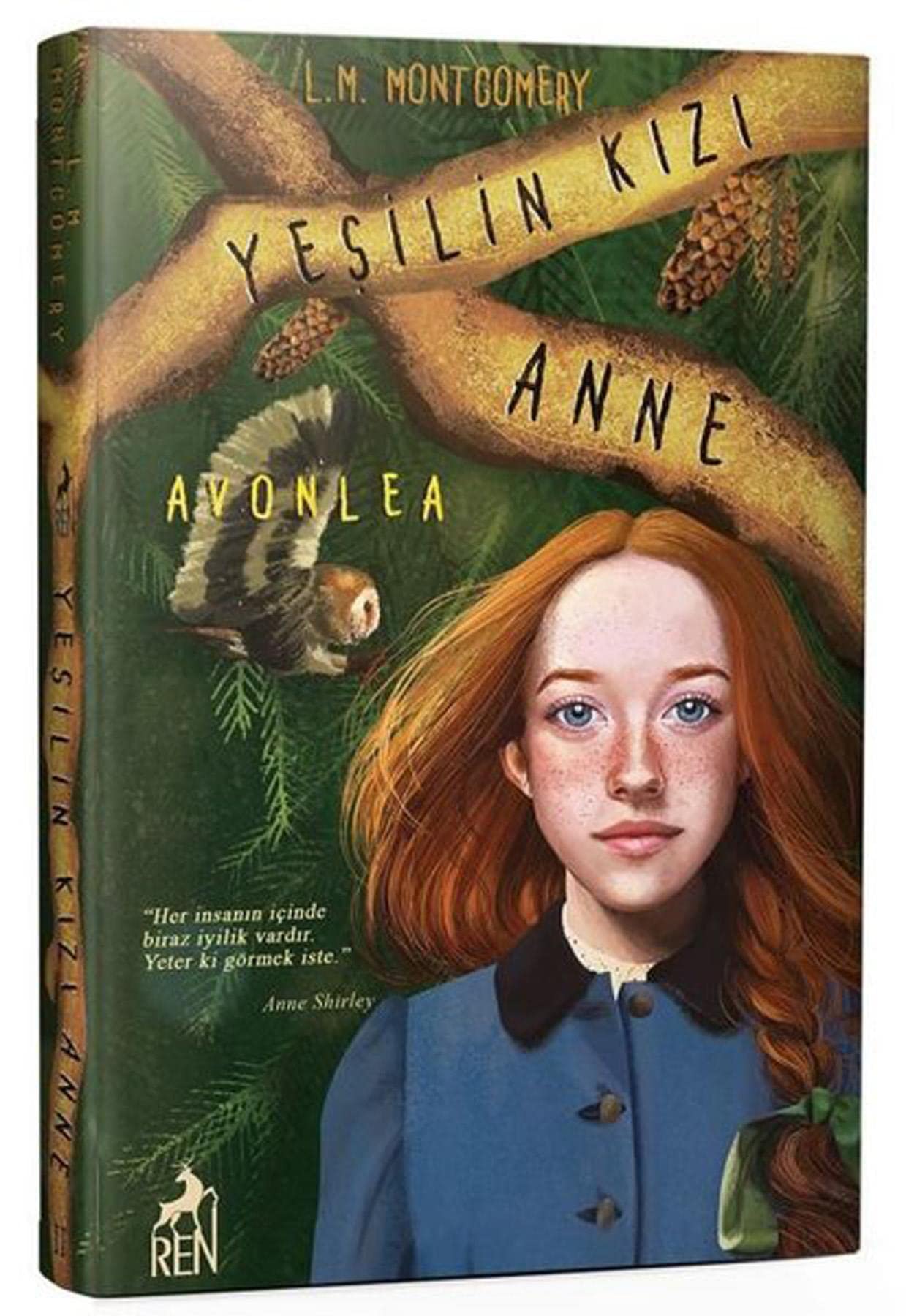 Yeşilin Kızı Anne 2 - Avonlea (Ciltli) book
