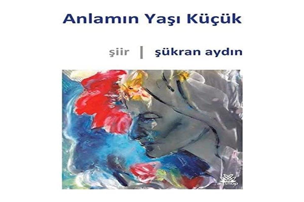 Anlamın Yaşı Küçük book