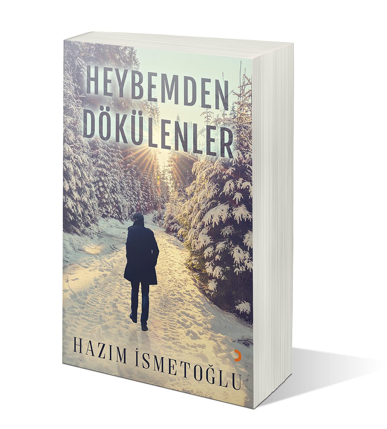 Heybemden Dökülenler Books