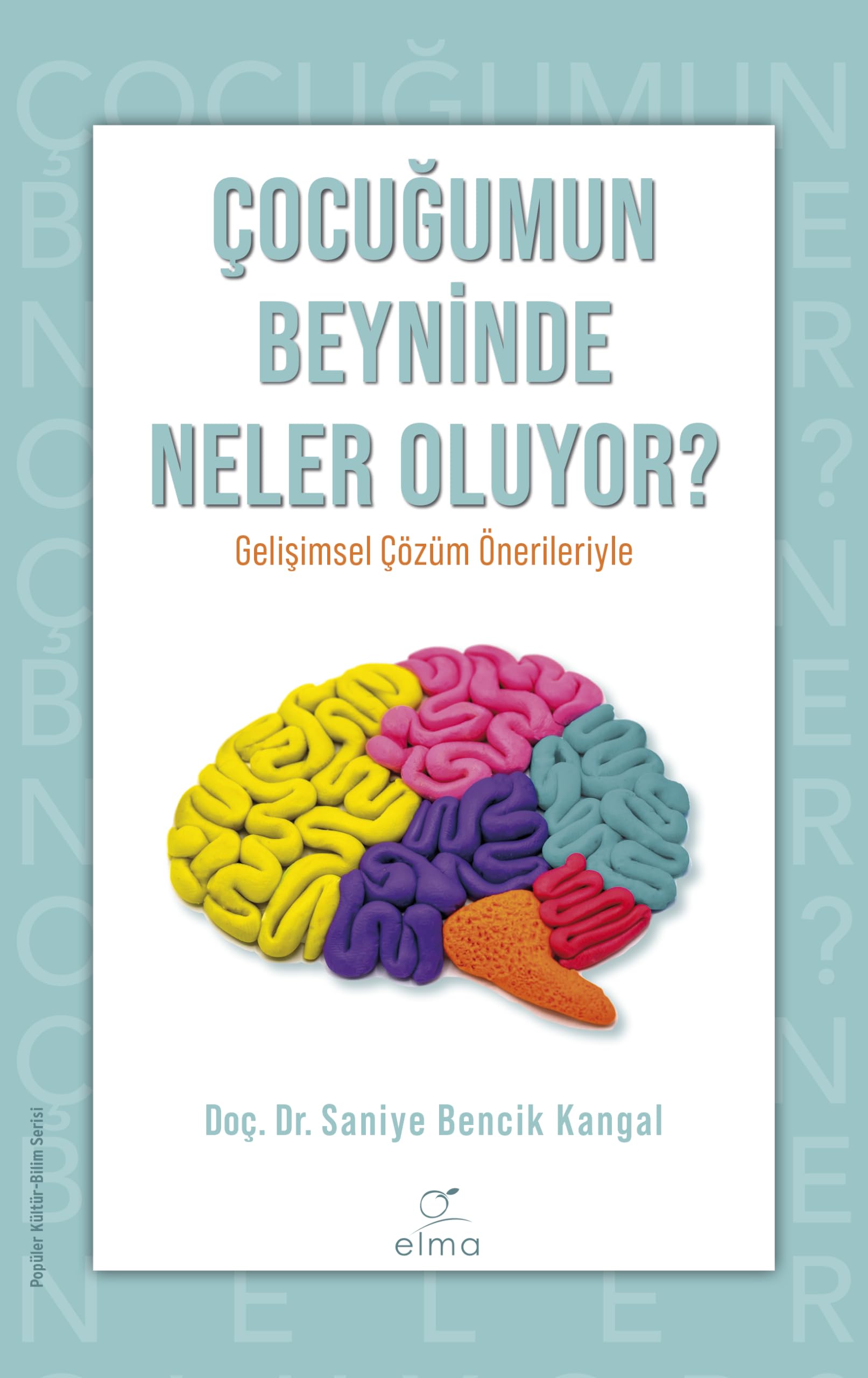 Çocuğumun Beyninde Neler Oluyor?: Gelişimsel Çözüm Önerileriyle book