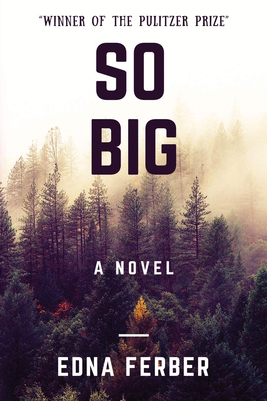 So Big: Winner of the Pulitzer Prize Classics