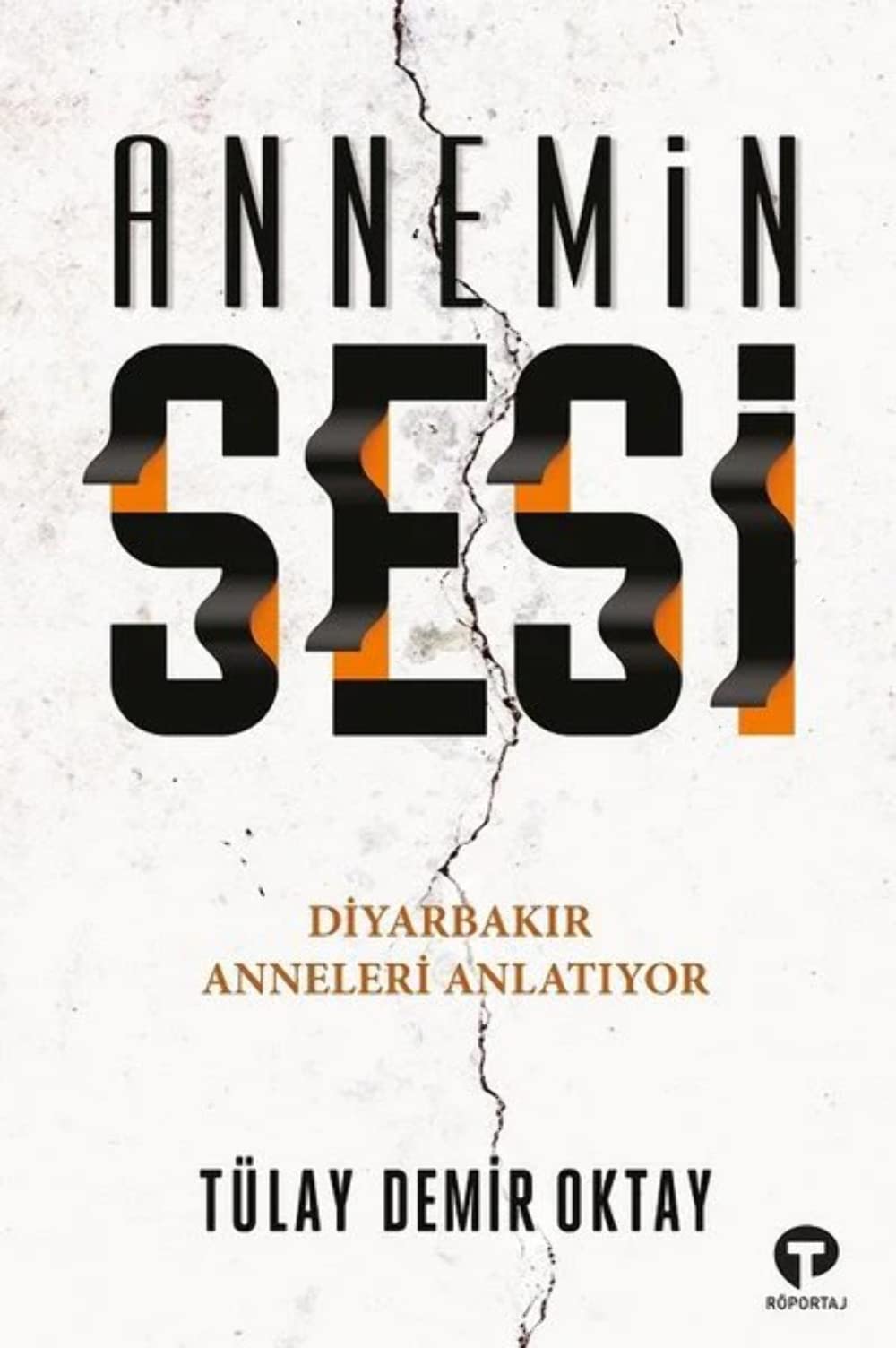 Annemin Sesi book