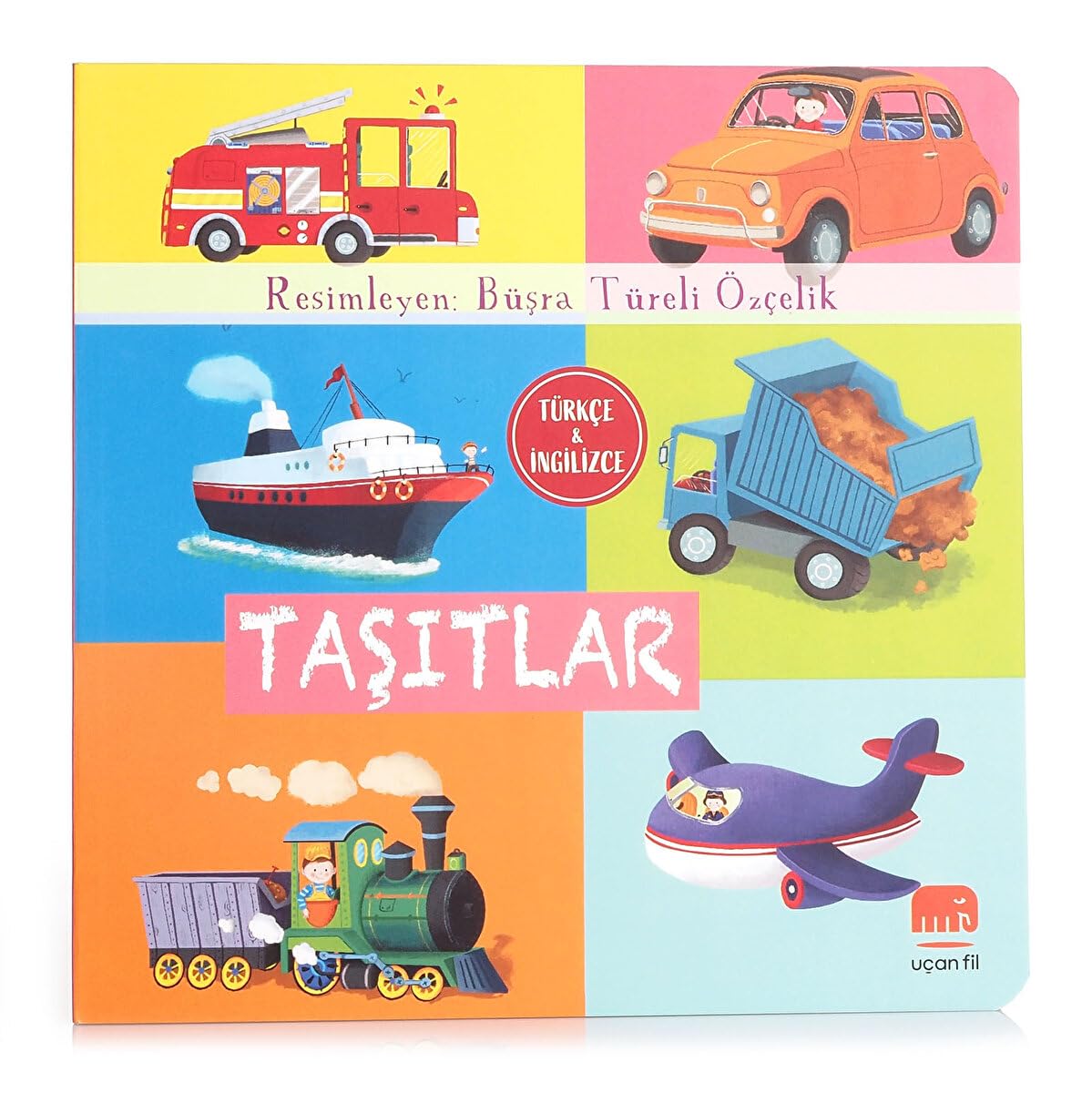 Taşıtlar Contemporary literature Books