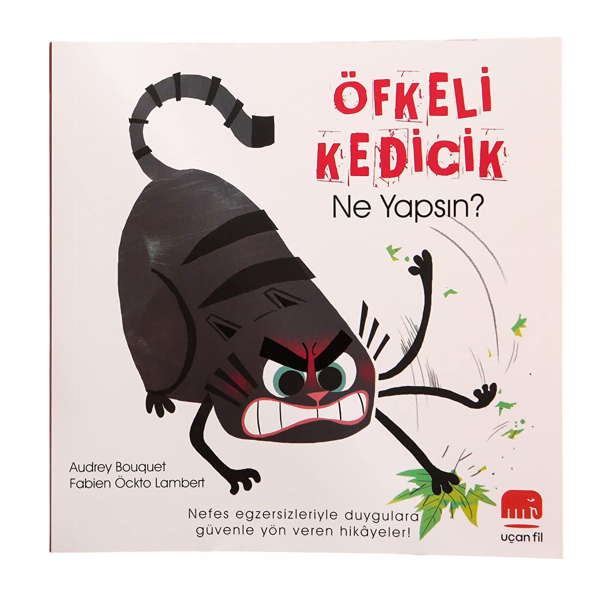 Öfkeli Kedicik Ne Yapsın? Books