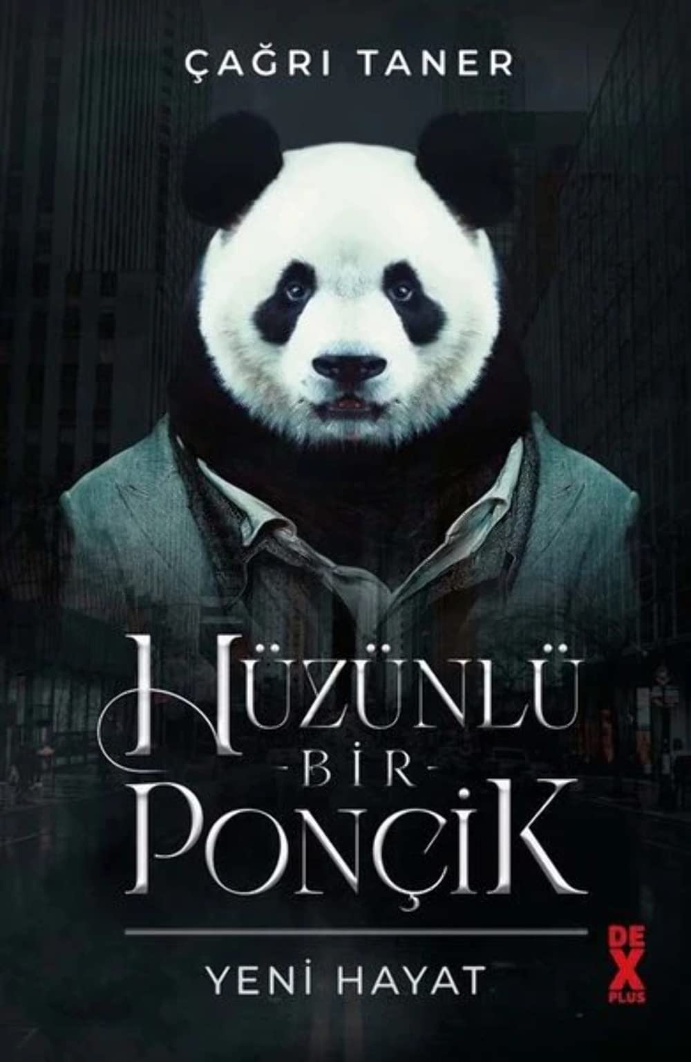 Hüzünlü Bir Poncik - Yeni Hayat book