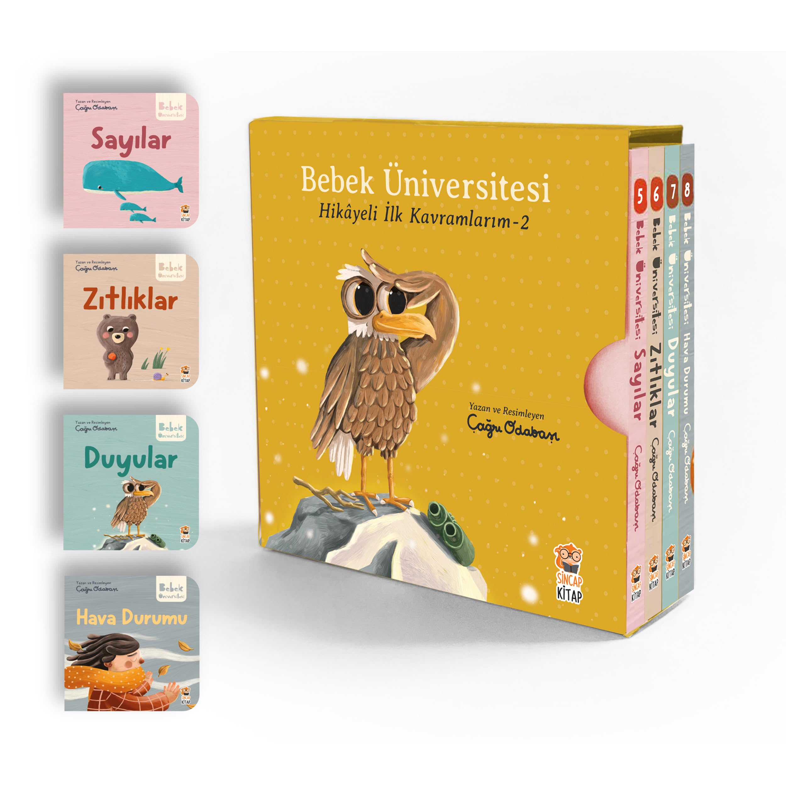 Bebek Üniversitesi 2 - Hikayeli Ilk Kavramlarim Set 4 Kitap Fairy Tales & Legends