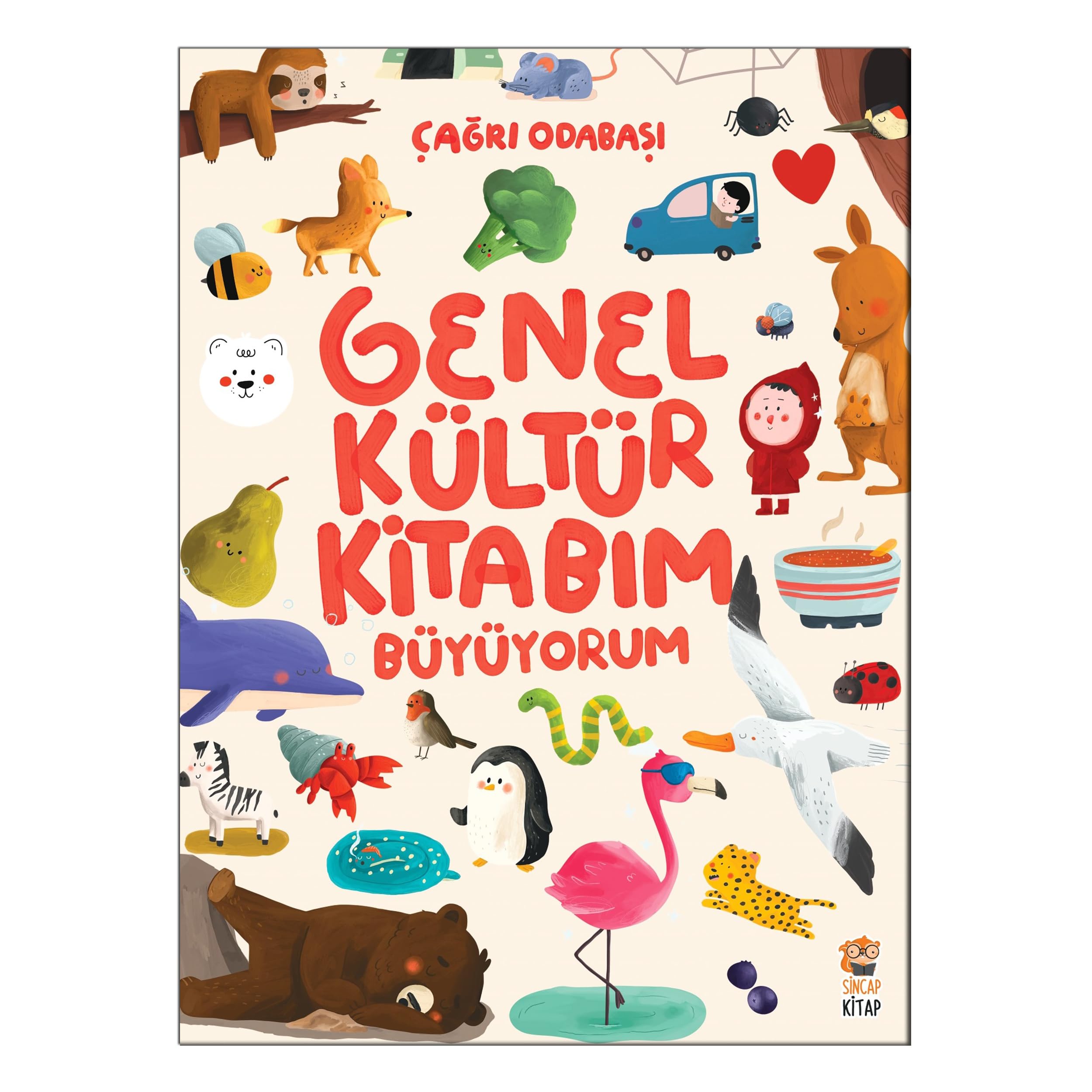 Genel Kültür Kitabim - Büyüyorum Books