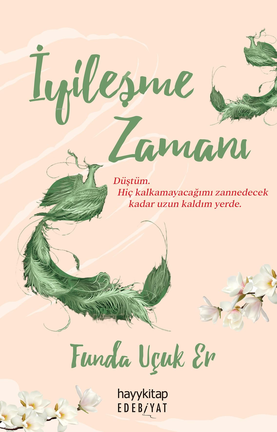 Iyilesme Zamani book