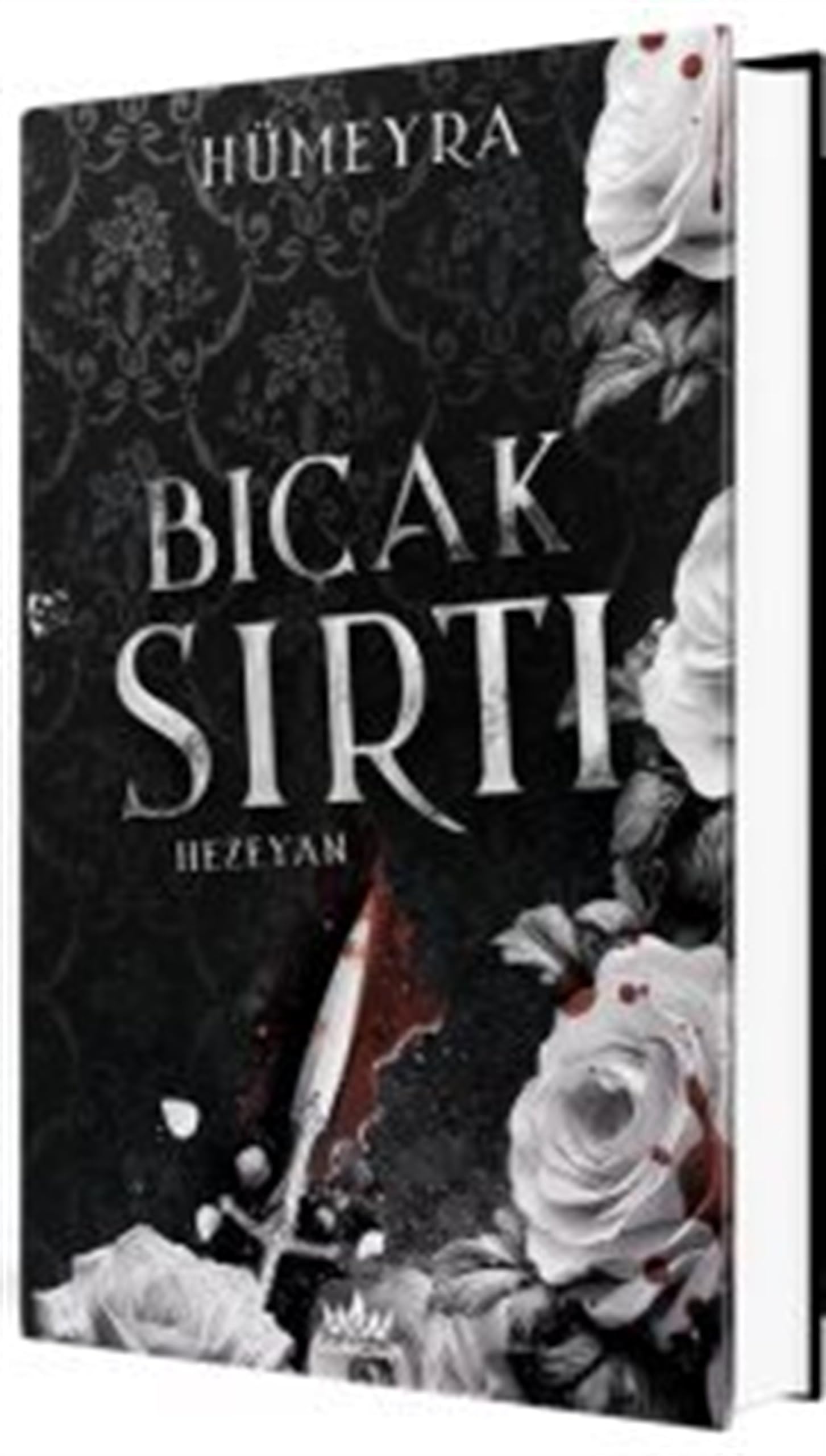 Bicak Sirti 2 Hezeyan Ciltli Books