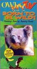 Product Image: Born to Be Wild