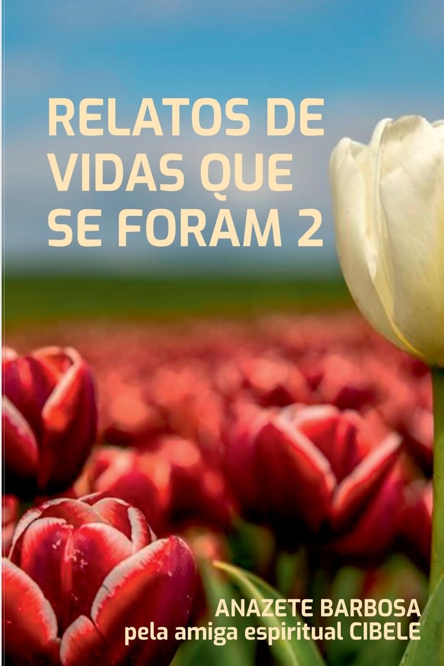 Relatos De Vidas Que Se Foram 2 Religion & Esotericism