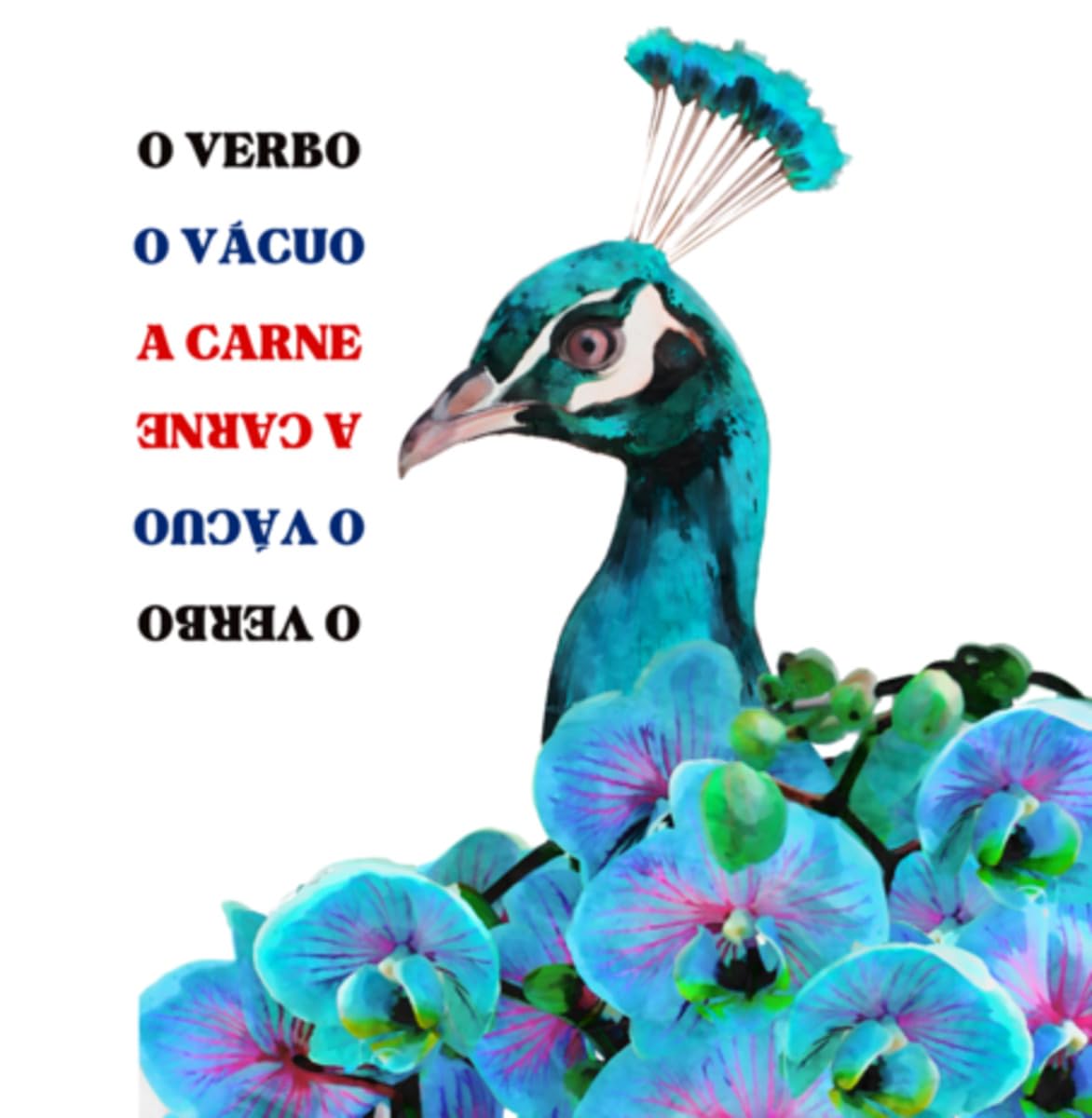 O Verbo, O Vácuo, A Carne Eroticism