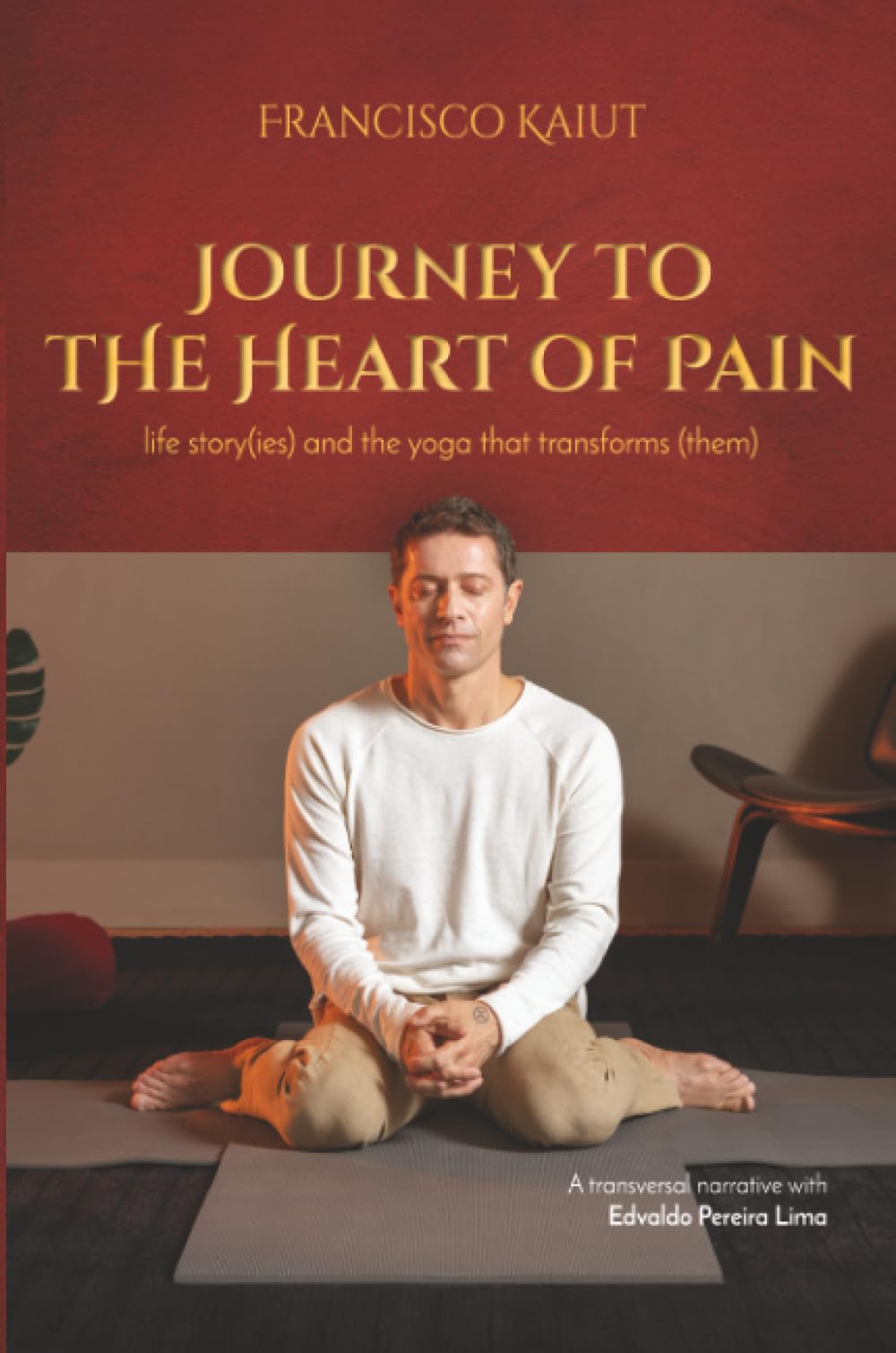 Journey to the Heart of Pain Memories