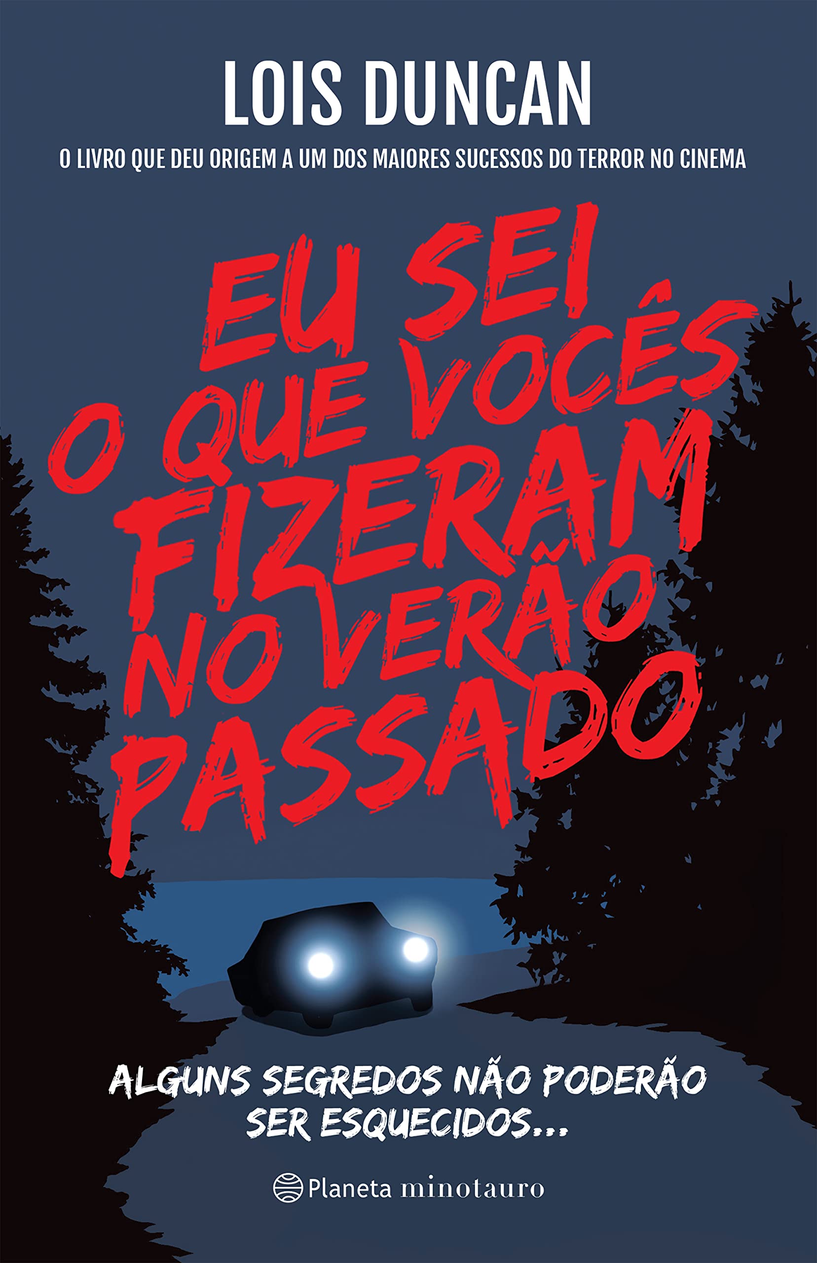 Eu sei o que voces fizeram no verao passado - Alguns segredos nao poderao ser esquecidos... (Em Portugues do Brasil) book