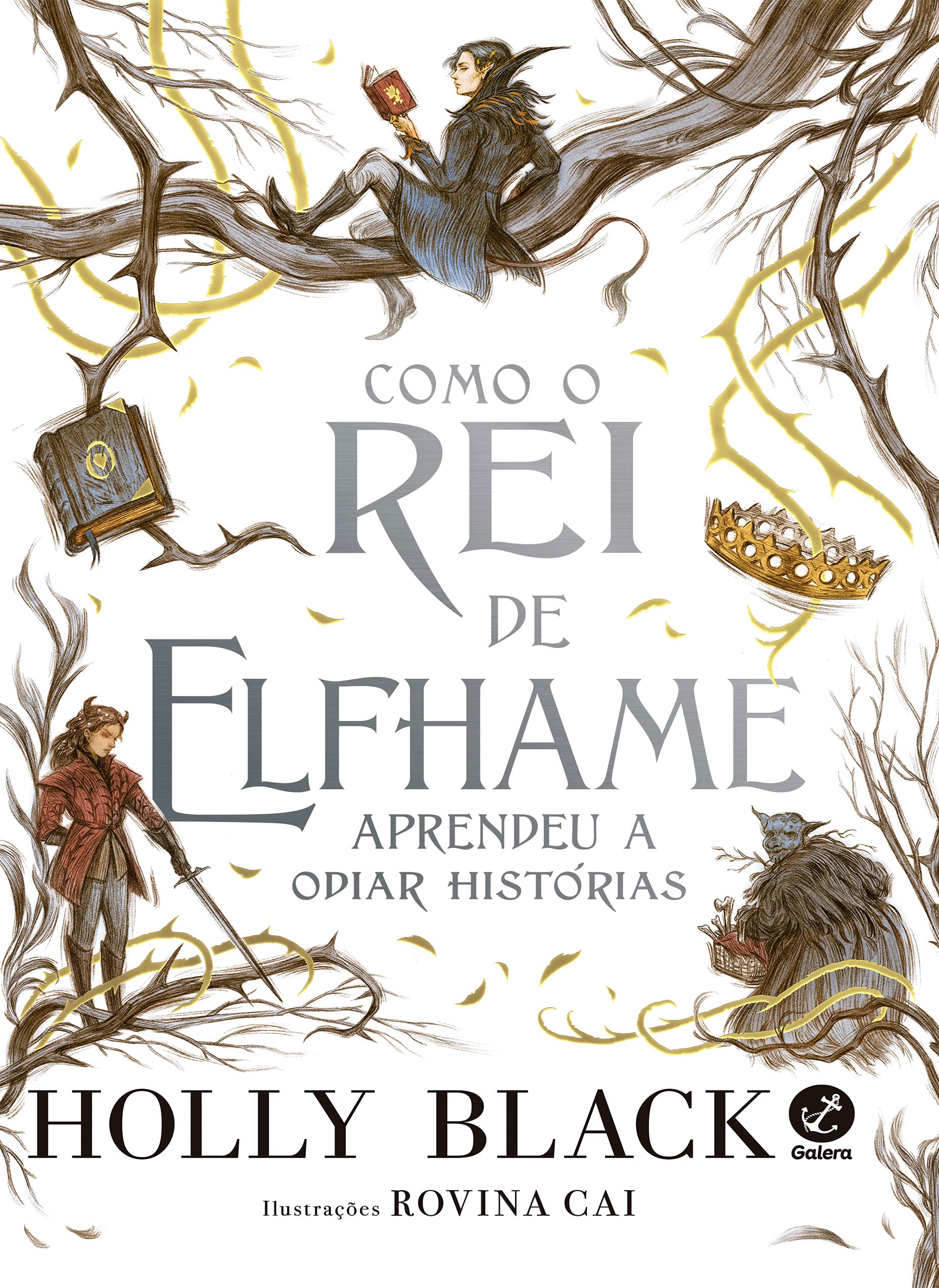 Galera Como o Rei de Elfhame aprendeu a odiar histórias book