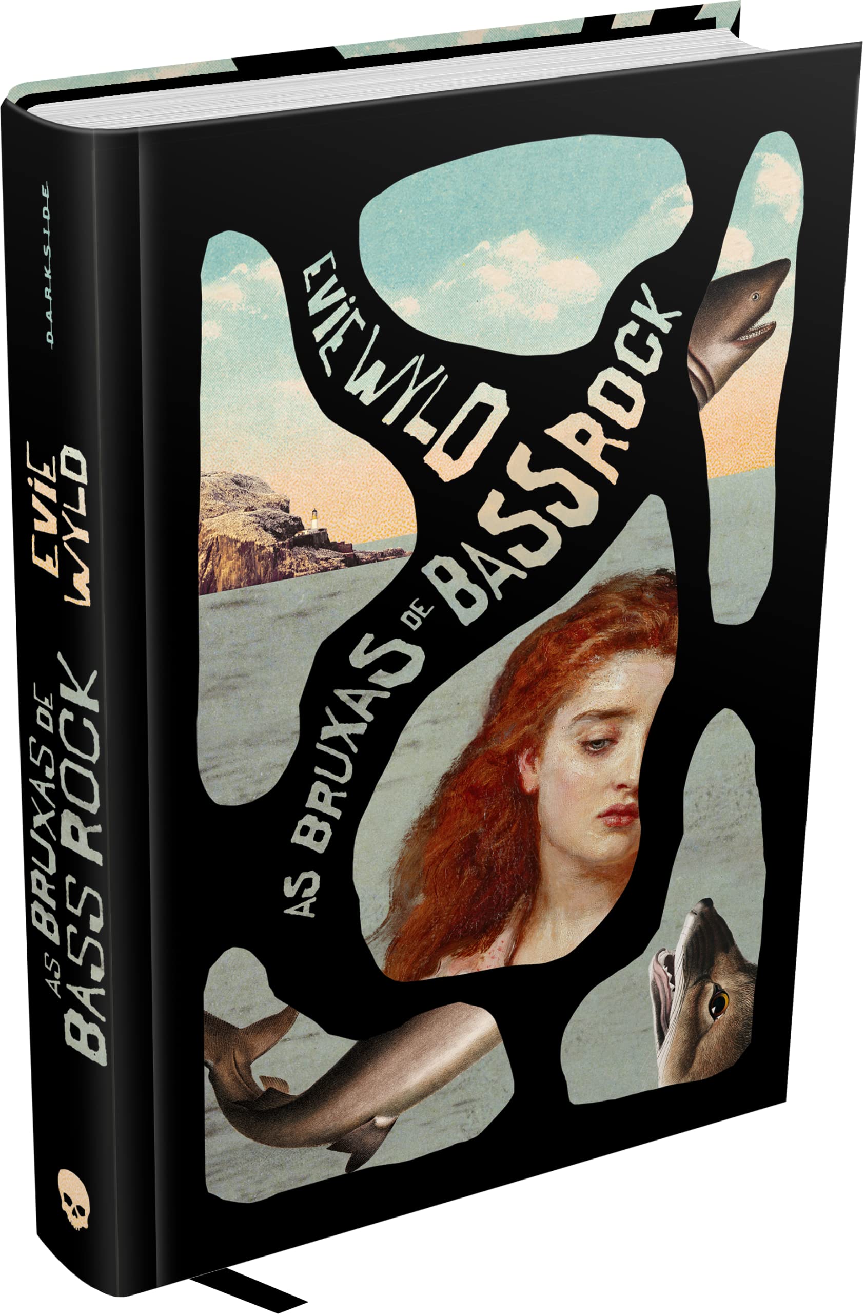 As Bruxas de Bass Rock (Em Portugues do Brasil) book