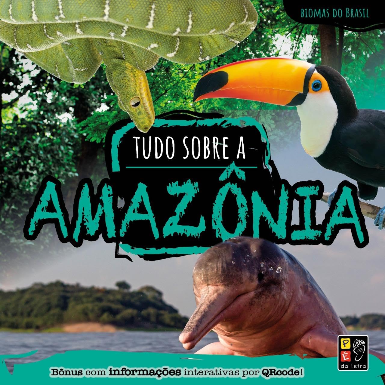 biomas do brasil tudo sobre a amaznia Books
