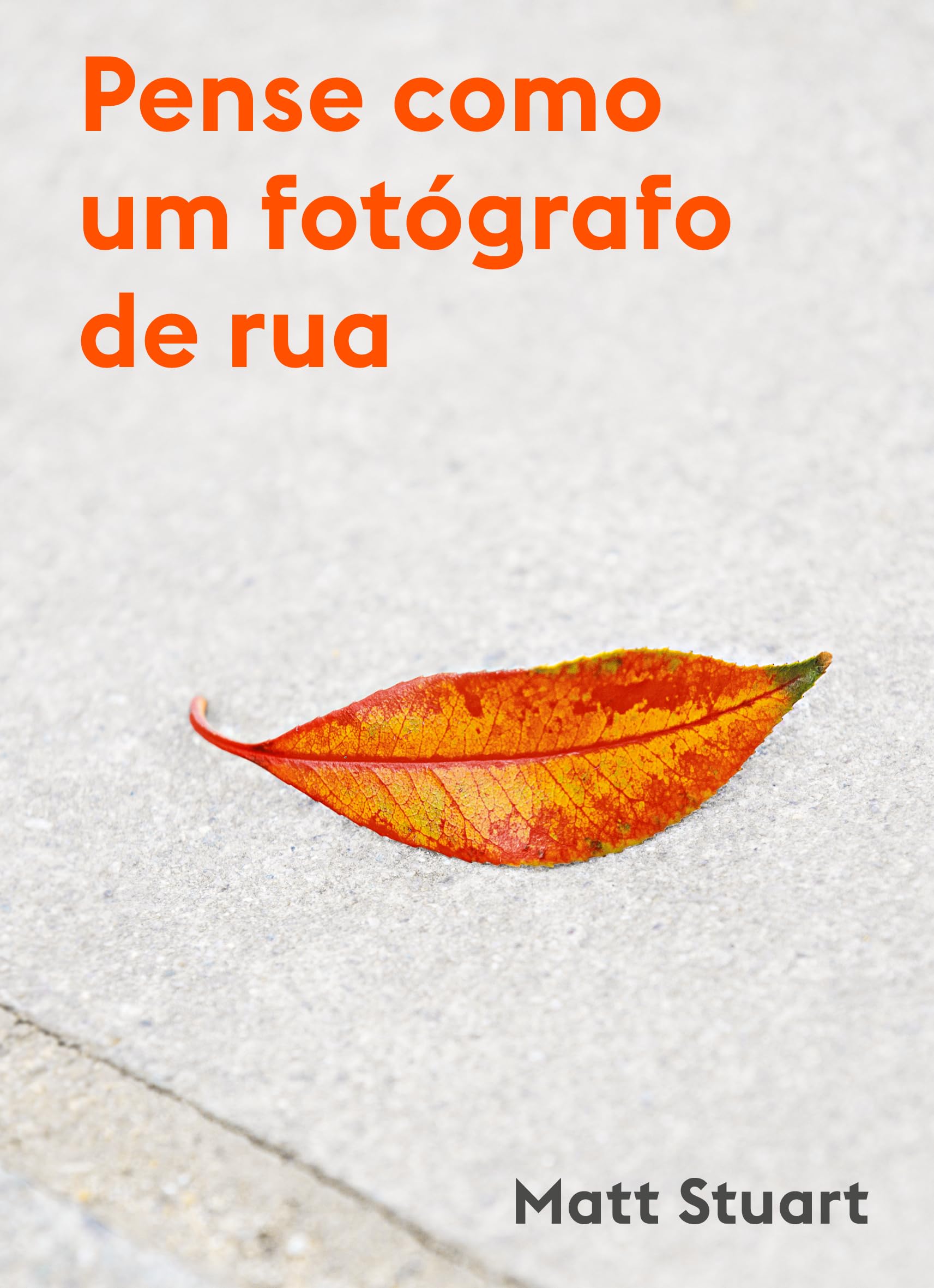 livro pense como um fotografo de rua book