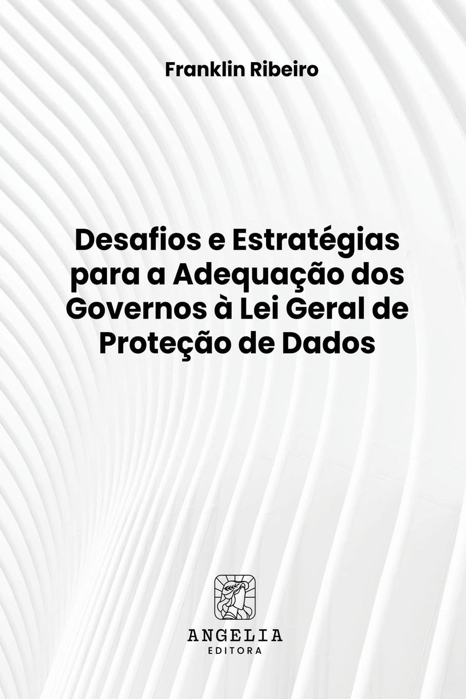 Desafios E Estratégias Para A Adequação Dos Governos À Lei Law