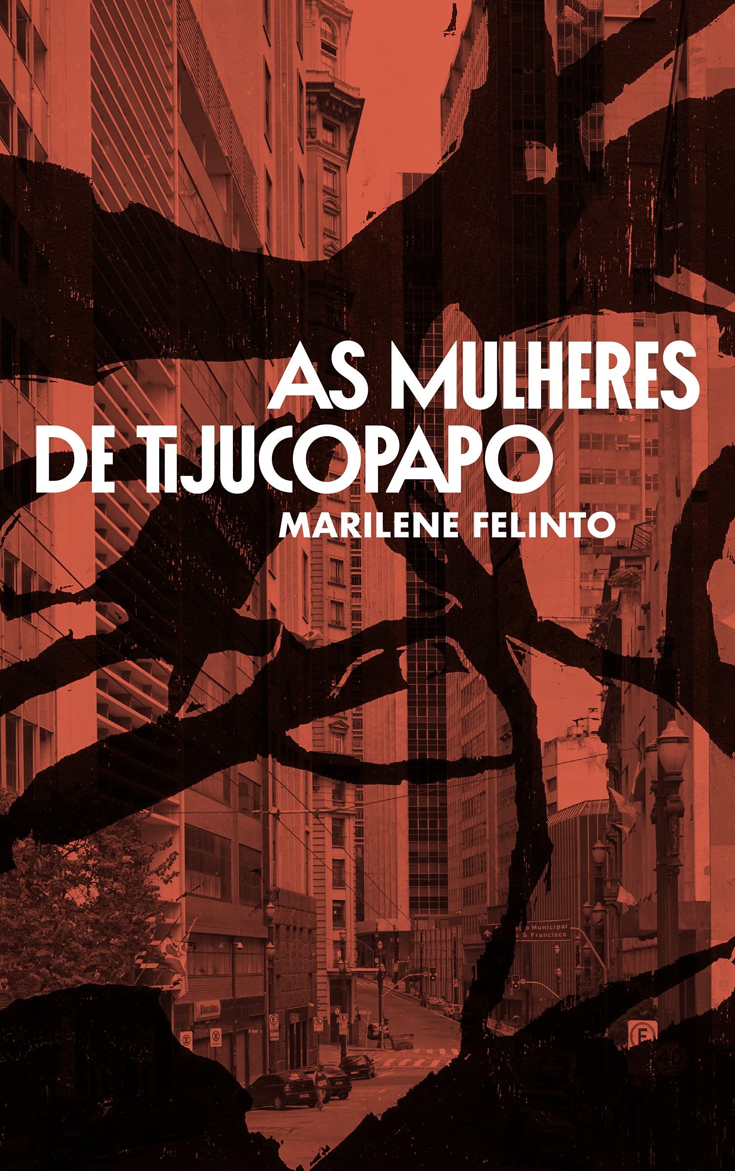 livro as mulheres de tijucopapo book