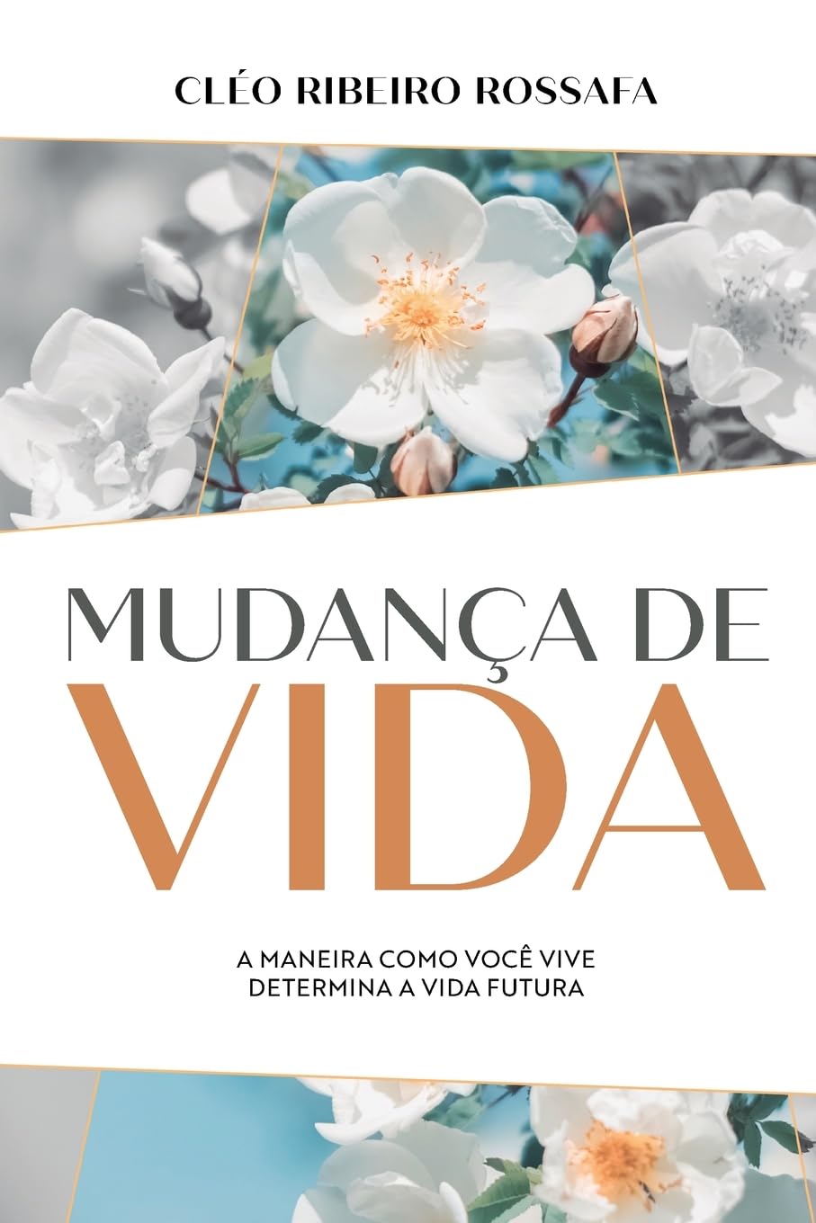 Mudança de vida - A maneira como você vive determina a vida futura Religion & Esotericism