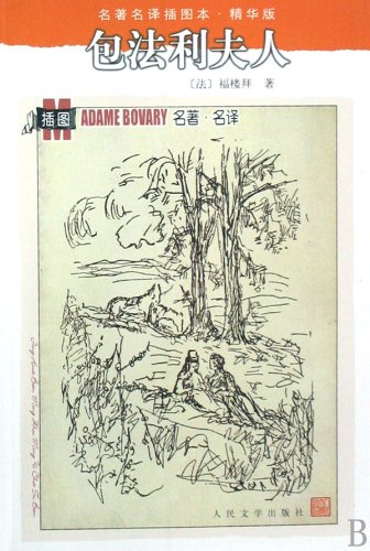 世界文学名著：包法利夫人 book