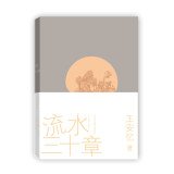 【二手9成新】流水三十章 book