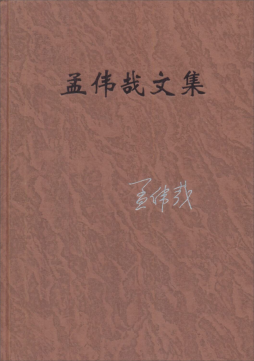 孟伟哉文集(第二卷):访问失踪者 Books