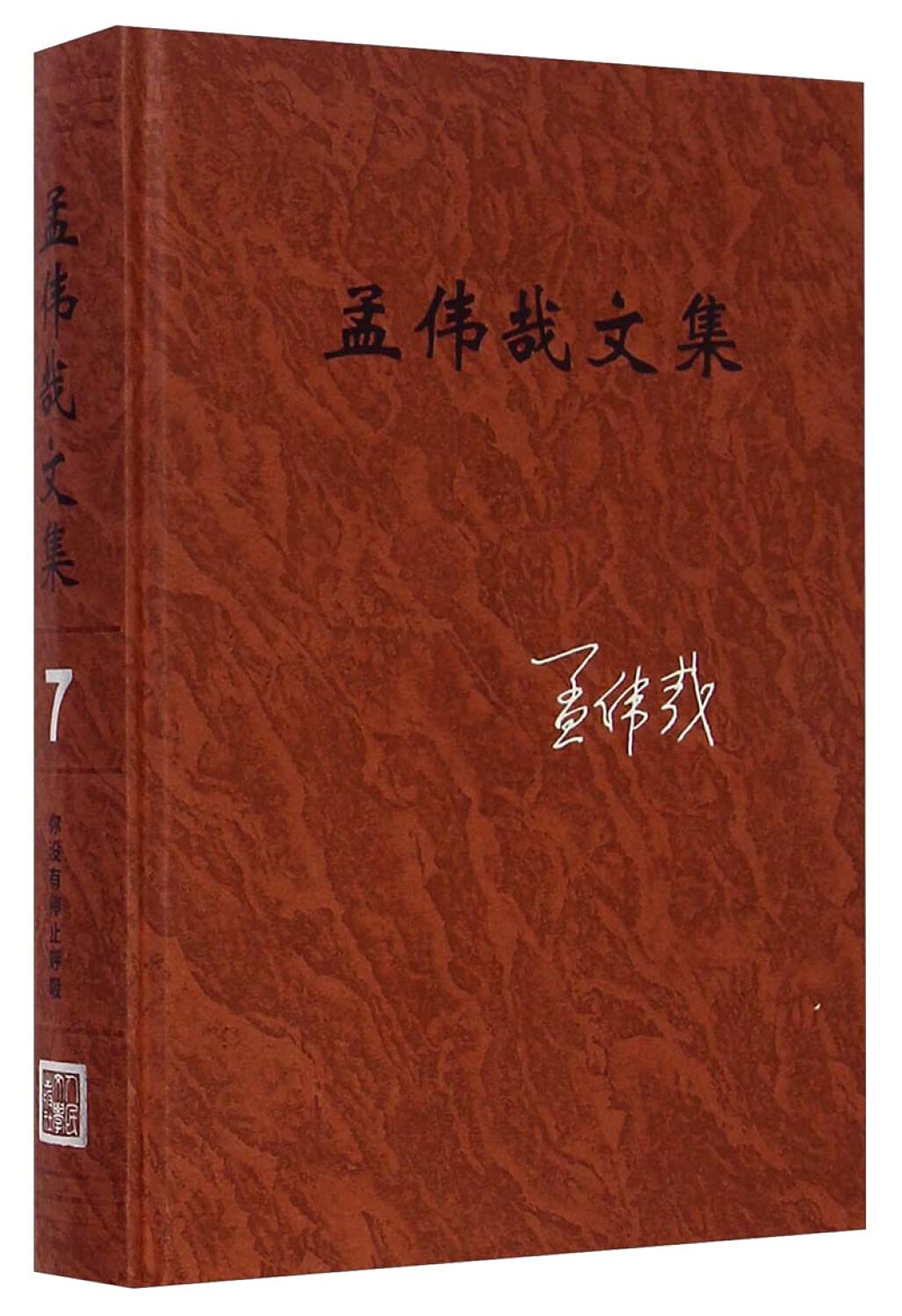 孟伟哉文集(第七卷):你没有停止呼吸 Books