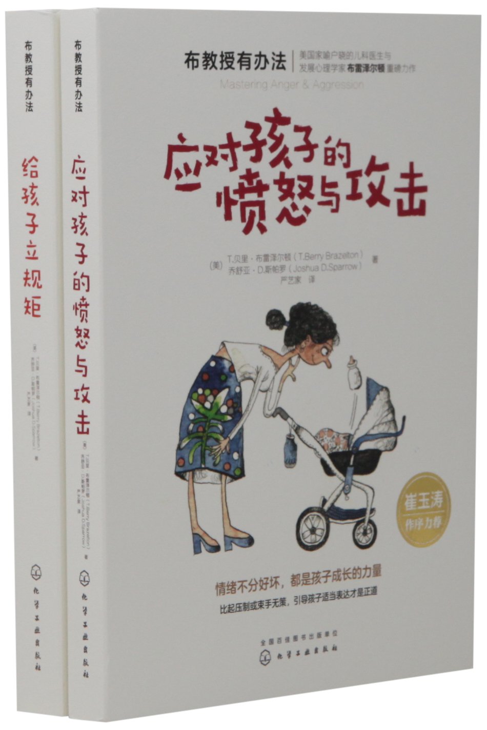 崔玉涛推荐:给孩子立规矩+应对孩子的愤怒与攻击(套装共2册) book