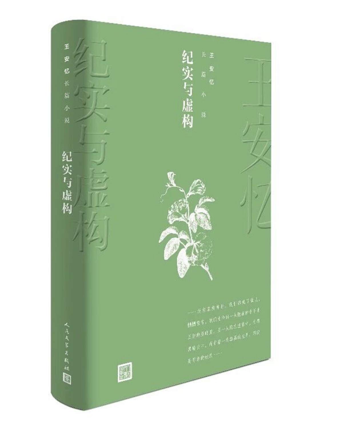 王安忆长篇小说:纪实与虚构 Books