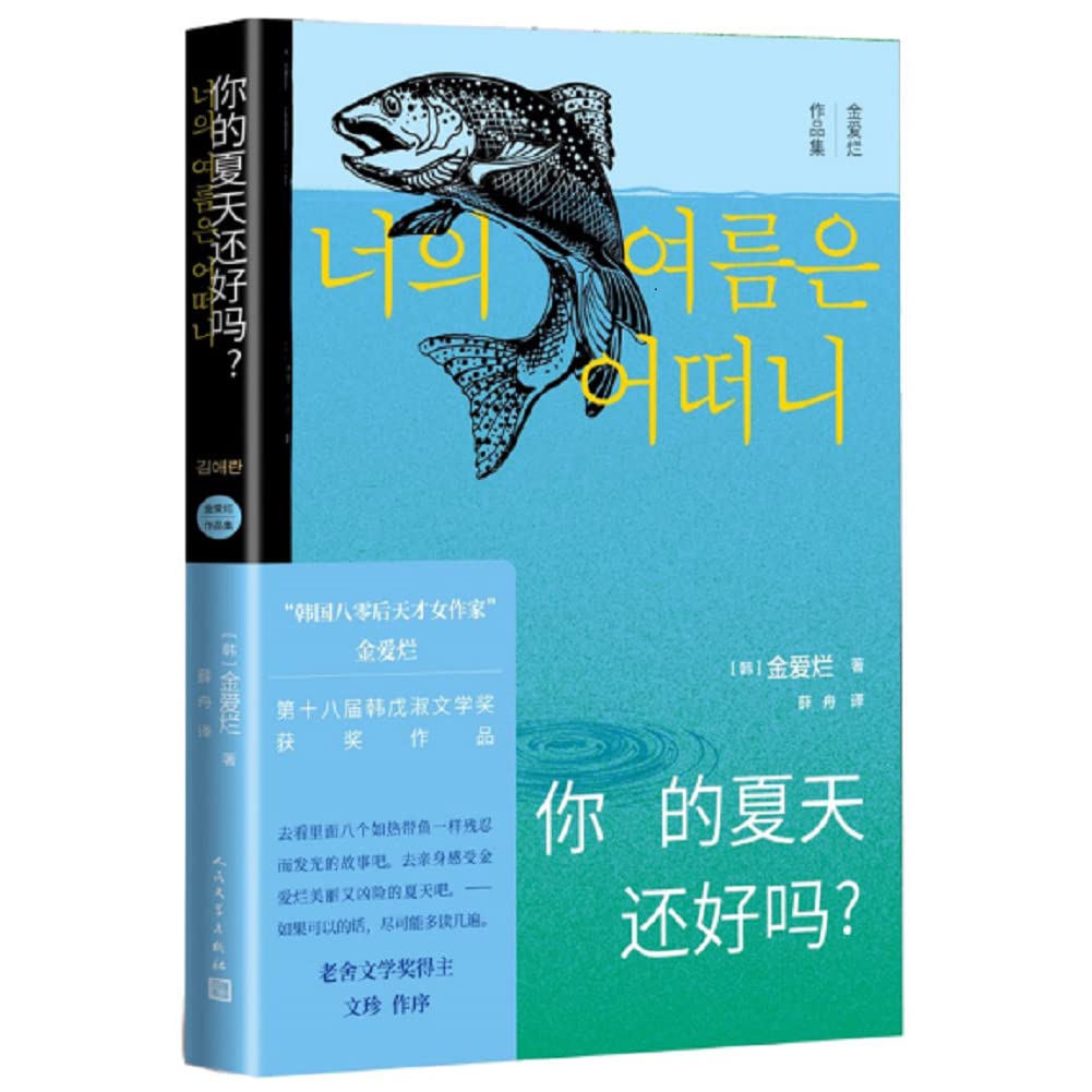 你的夏天还好吗？收录金爱烂重要作品 韩国获奖文学作品 豆瓣高分书单 青春文学不敲门的家 book
