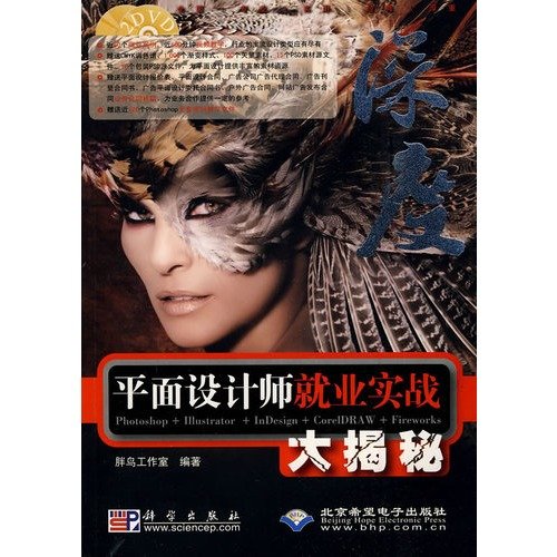 【旧书二手书9成新】平面设计师就业实战大揭秘胖鸟工作室编科学出版社 book