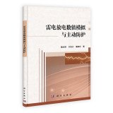 雷电放电数值模拟与主动防护 Books