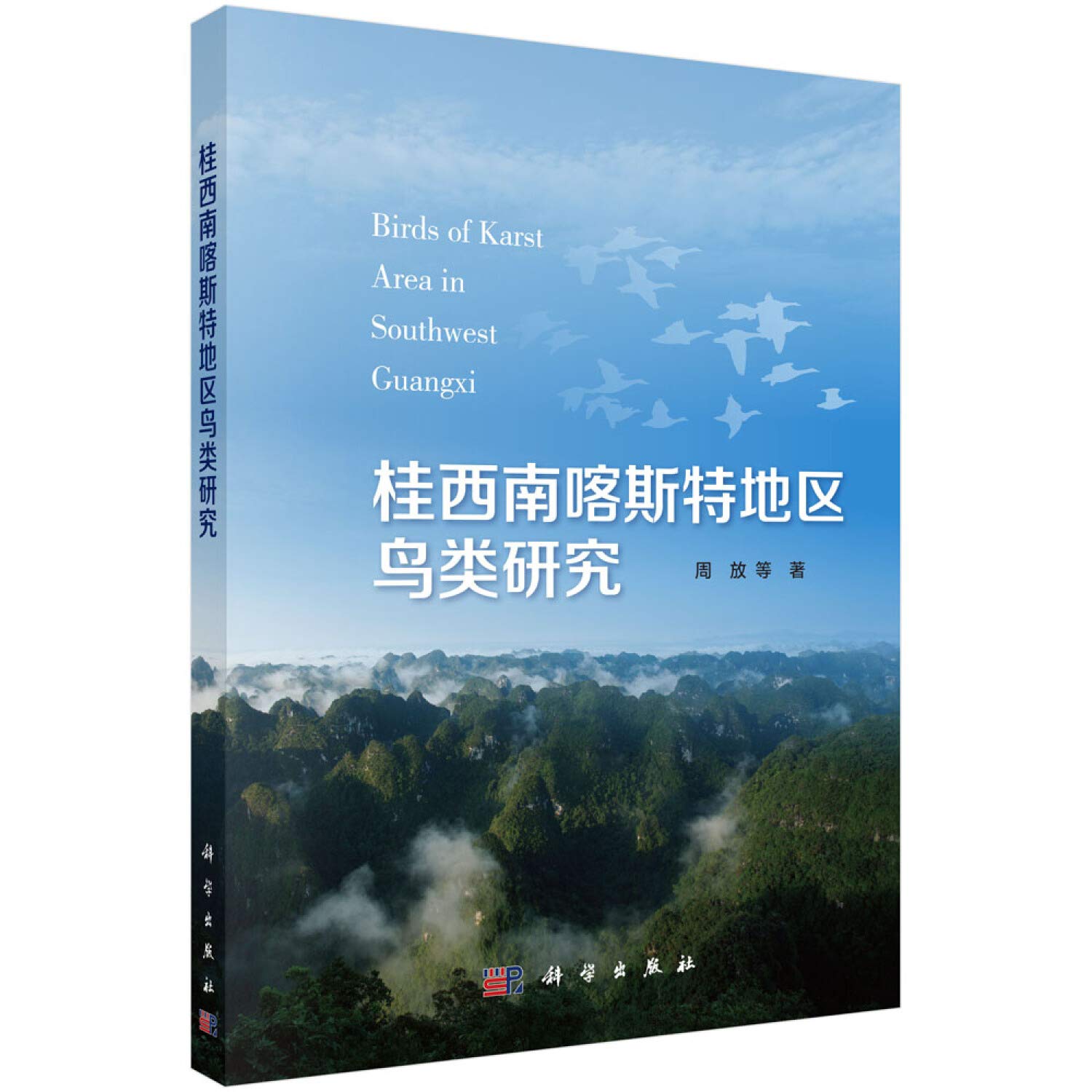 桂西南喀斯特地区鸟类研究 Books