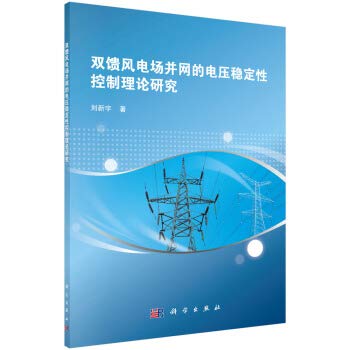 双馈风电场并网的电压稳定性控制理论研究 Books