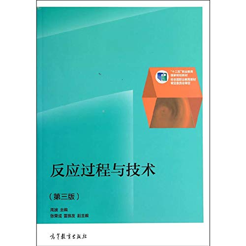 反应过程与技术（第三版） Books