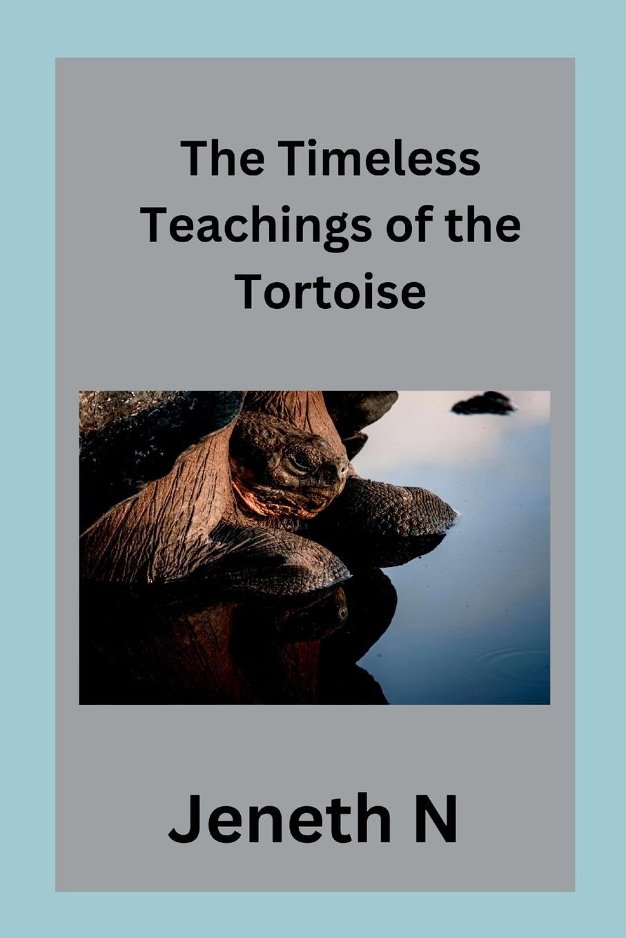 The Timeless Teachings of the Tortoise Contemporary literature