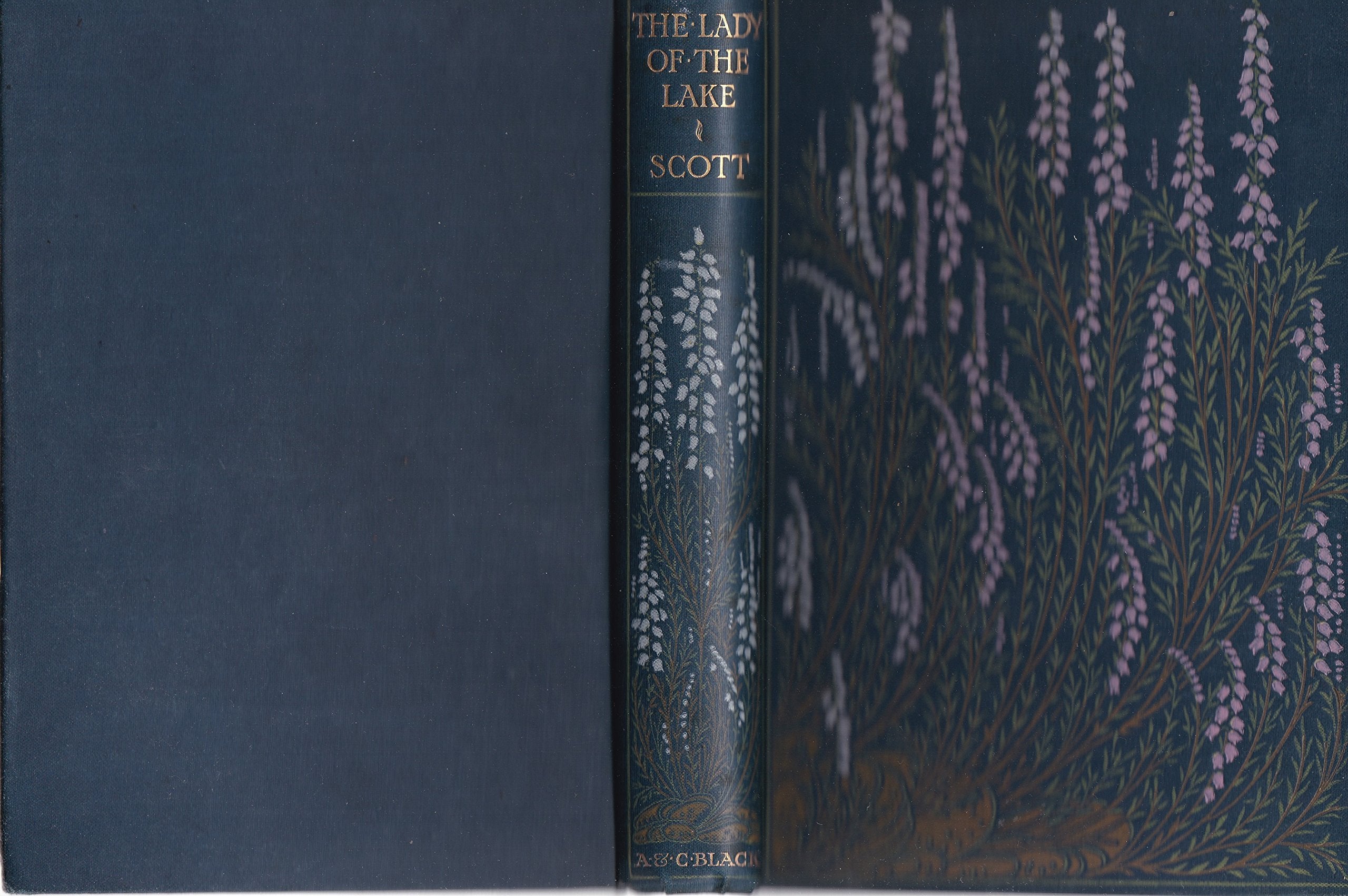 The Lady of the lake (Mit Anmerkungen zum Schulgebrauch und mit einem Orientierungskärtchen) Books
