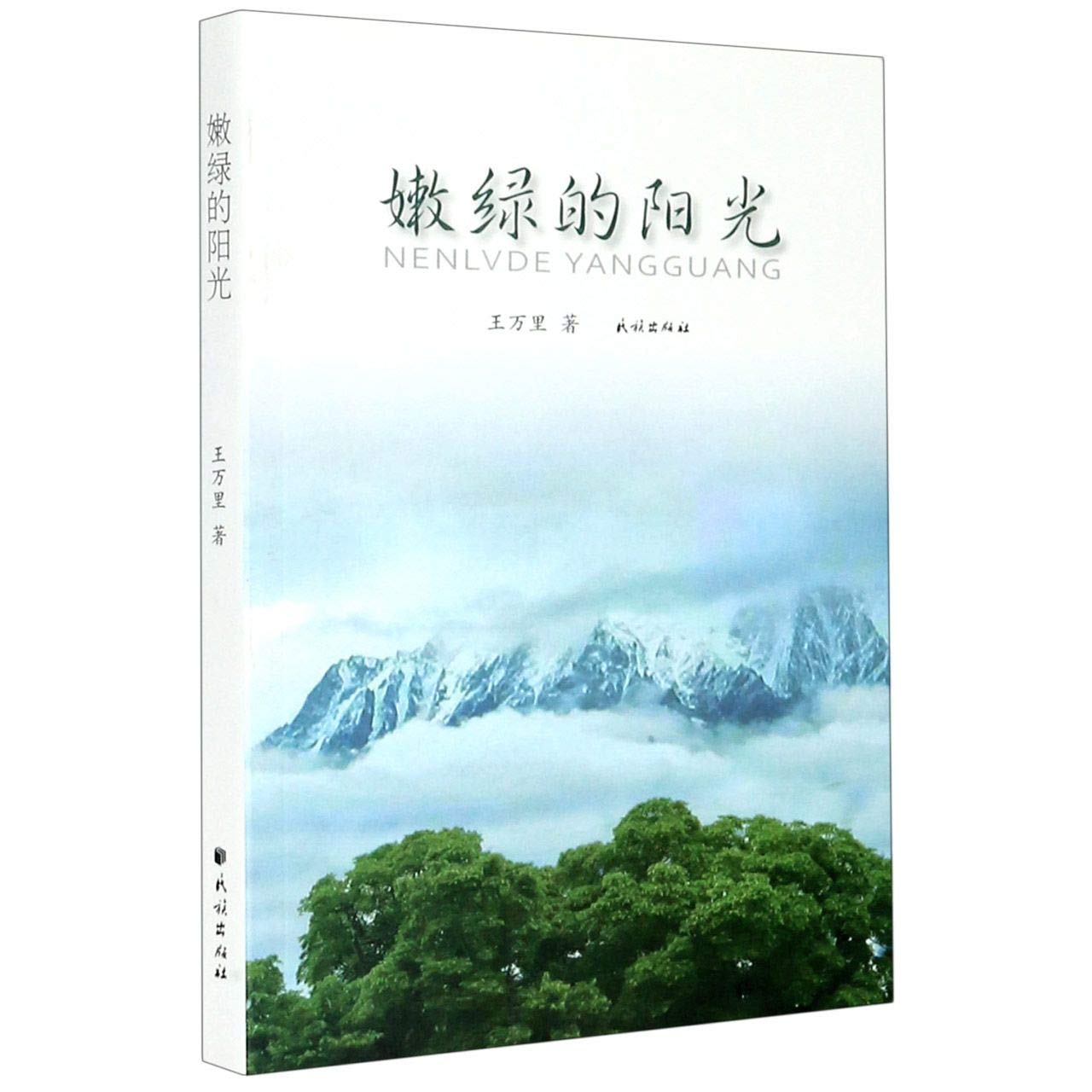 嫩绿的阳光 王万里著 民族出版社 9787105162116 Books