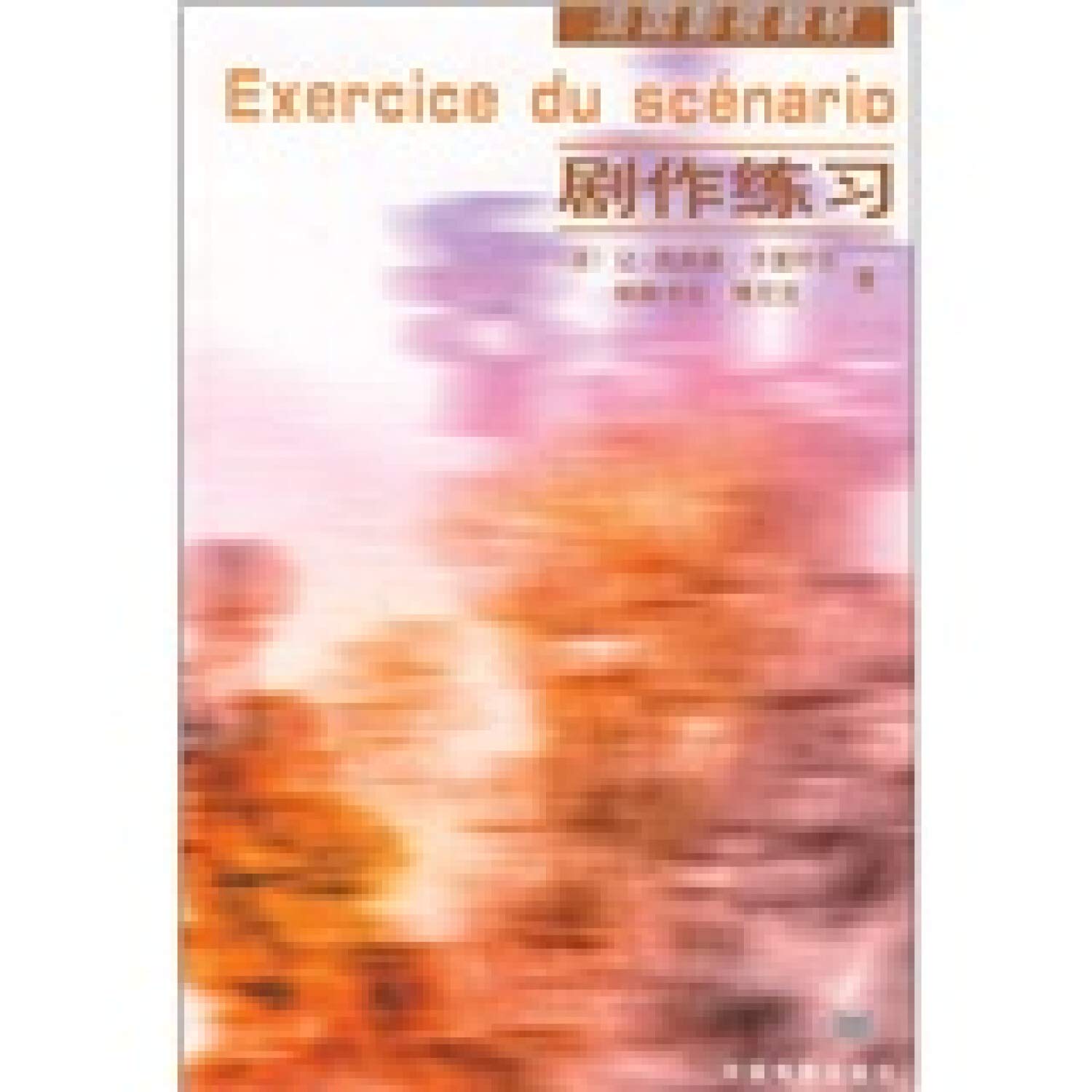 法国影视教材：剧作练习 Books