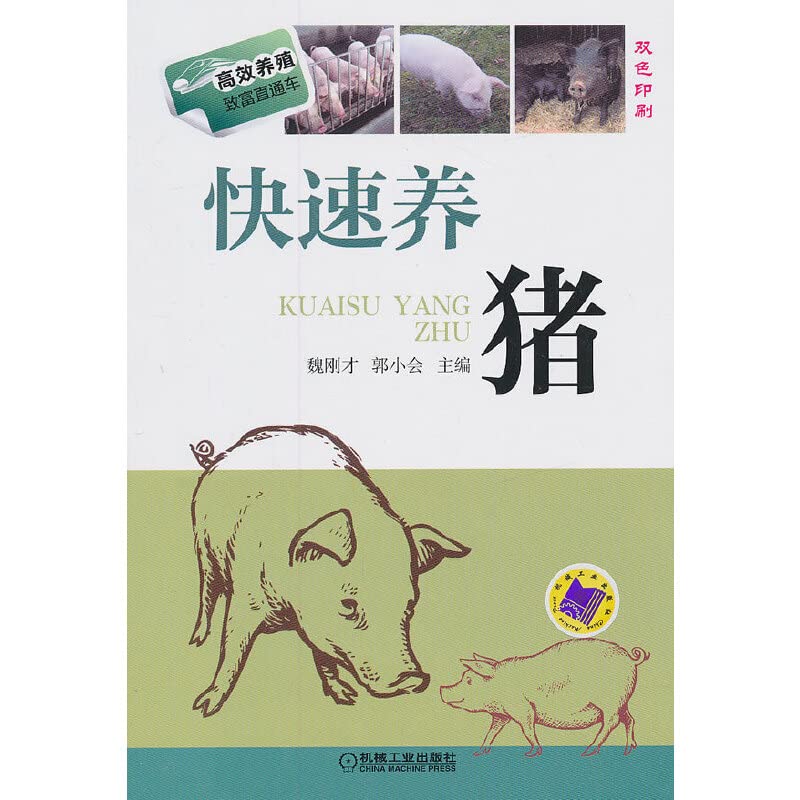 高效养猪系列4本套 养猪技术大全教程书籍 猪病防治与诊断书 家畜养殖专业教程 现代养猪生产技术 母猪养殖书籍 book