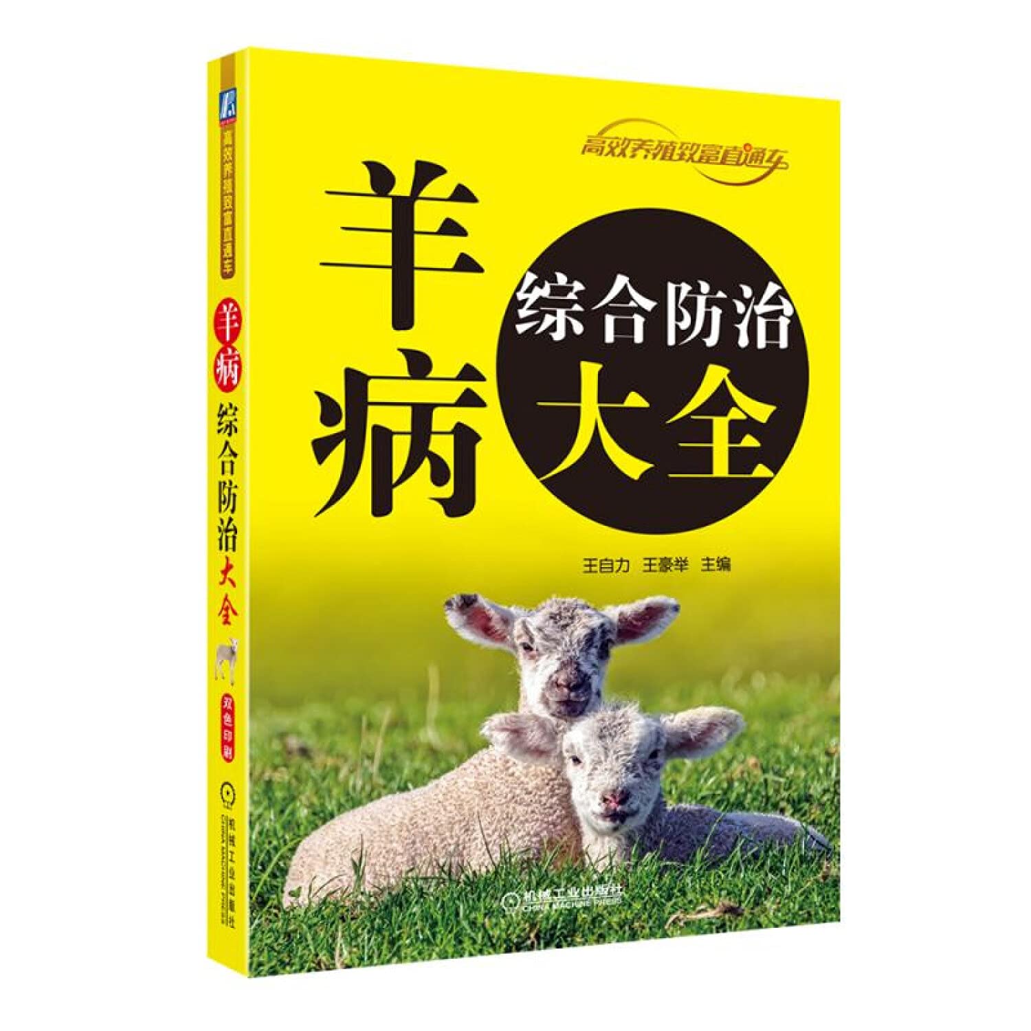 羊病综合防治大全 Books
