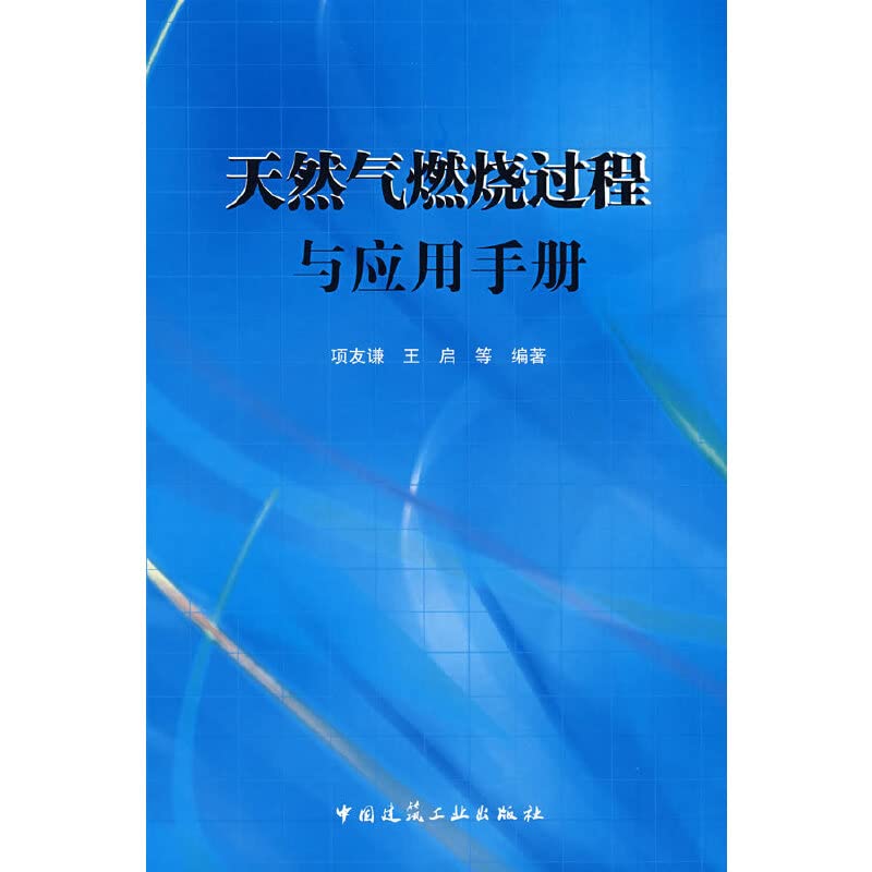 天然气燃烧过程与应用手册 项友谦,王启 9787112101610 Books