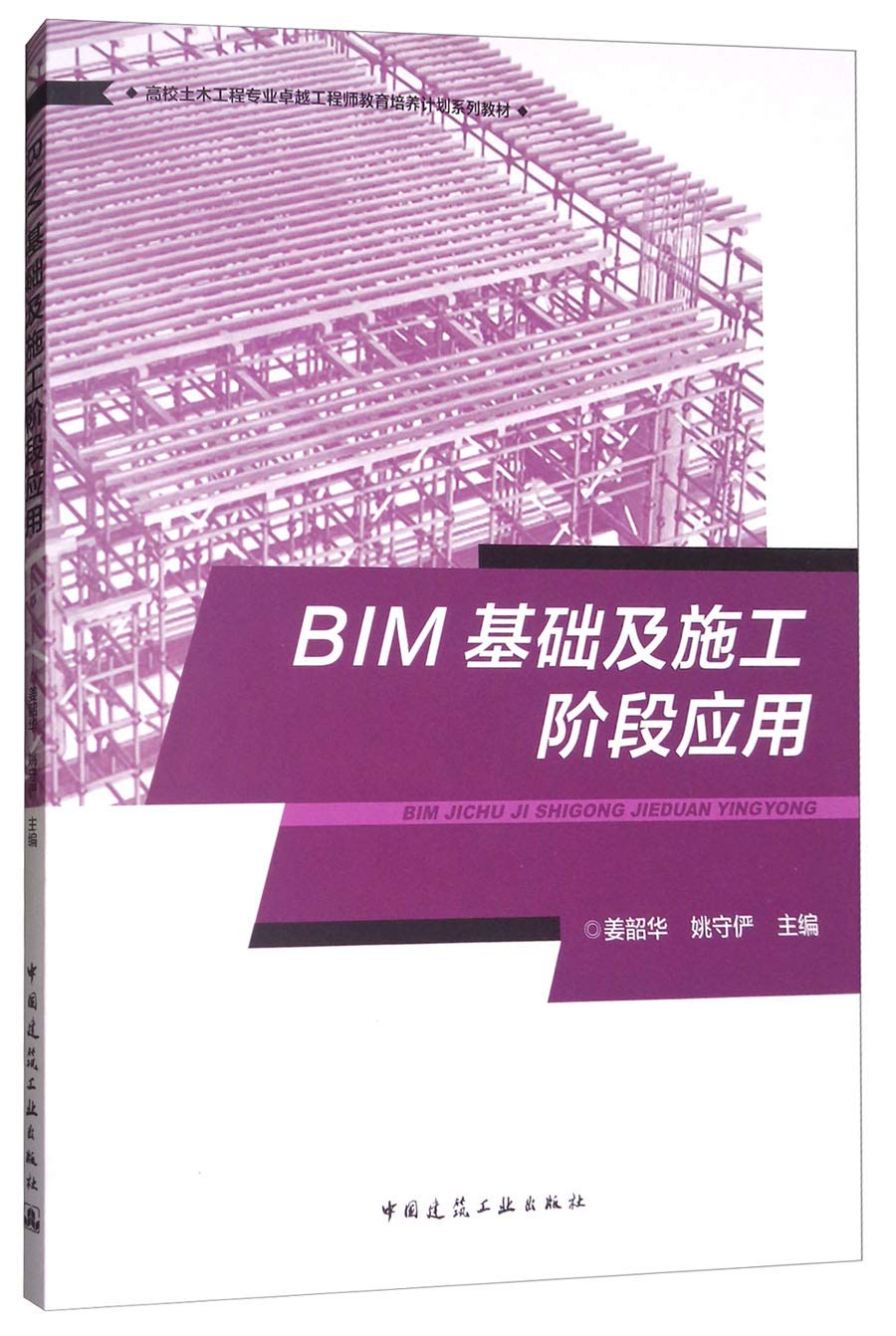BIM基础及施工阶段应用 Books