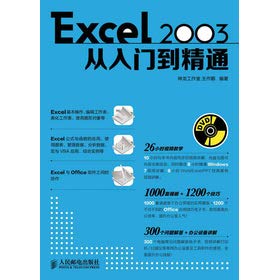 Excel 2003从入门到精通 王作鹏 神龙工作室 Books