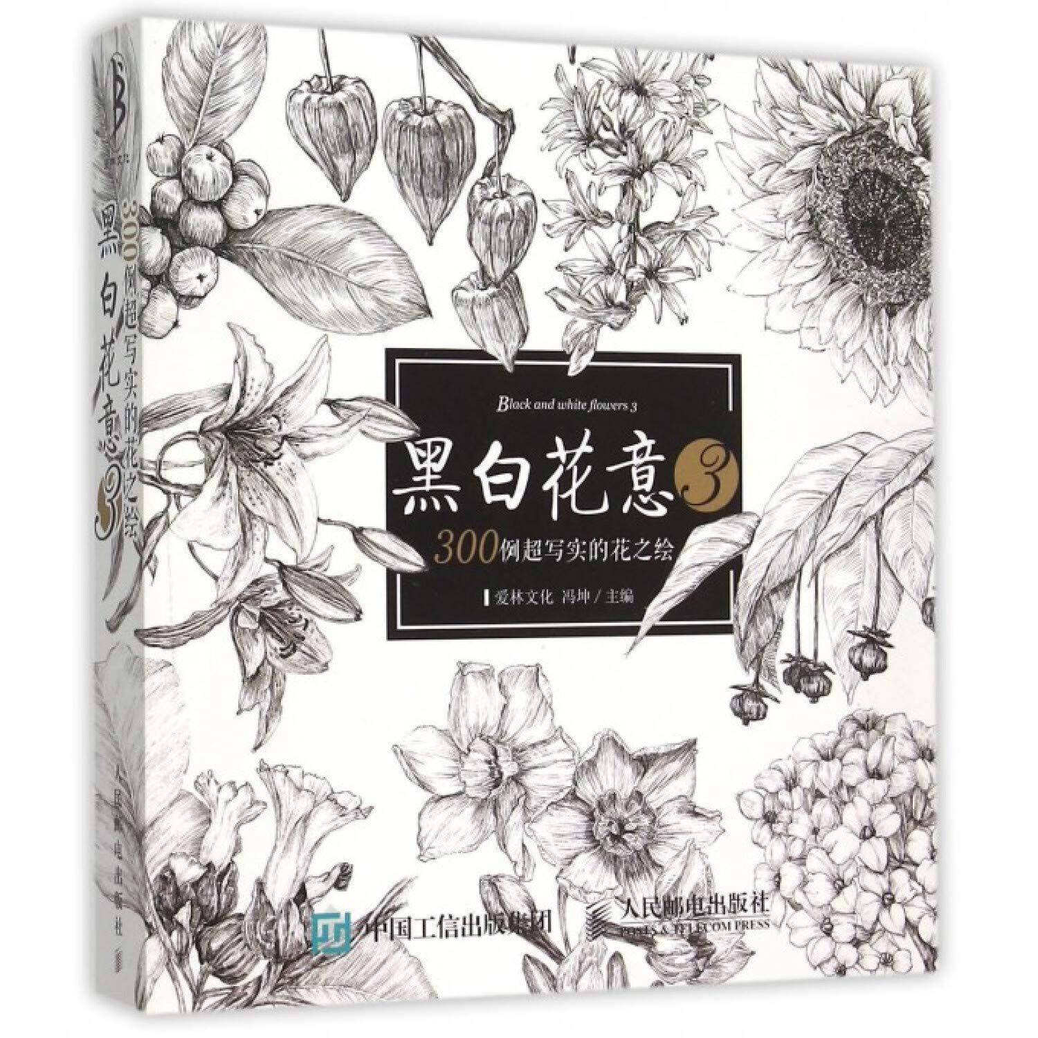 黑白花意(3 300例超写实的花之绘) Books