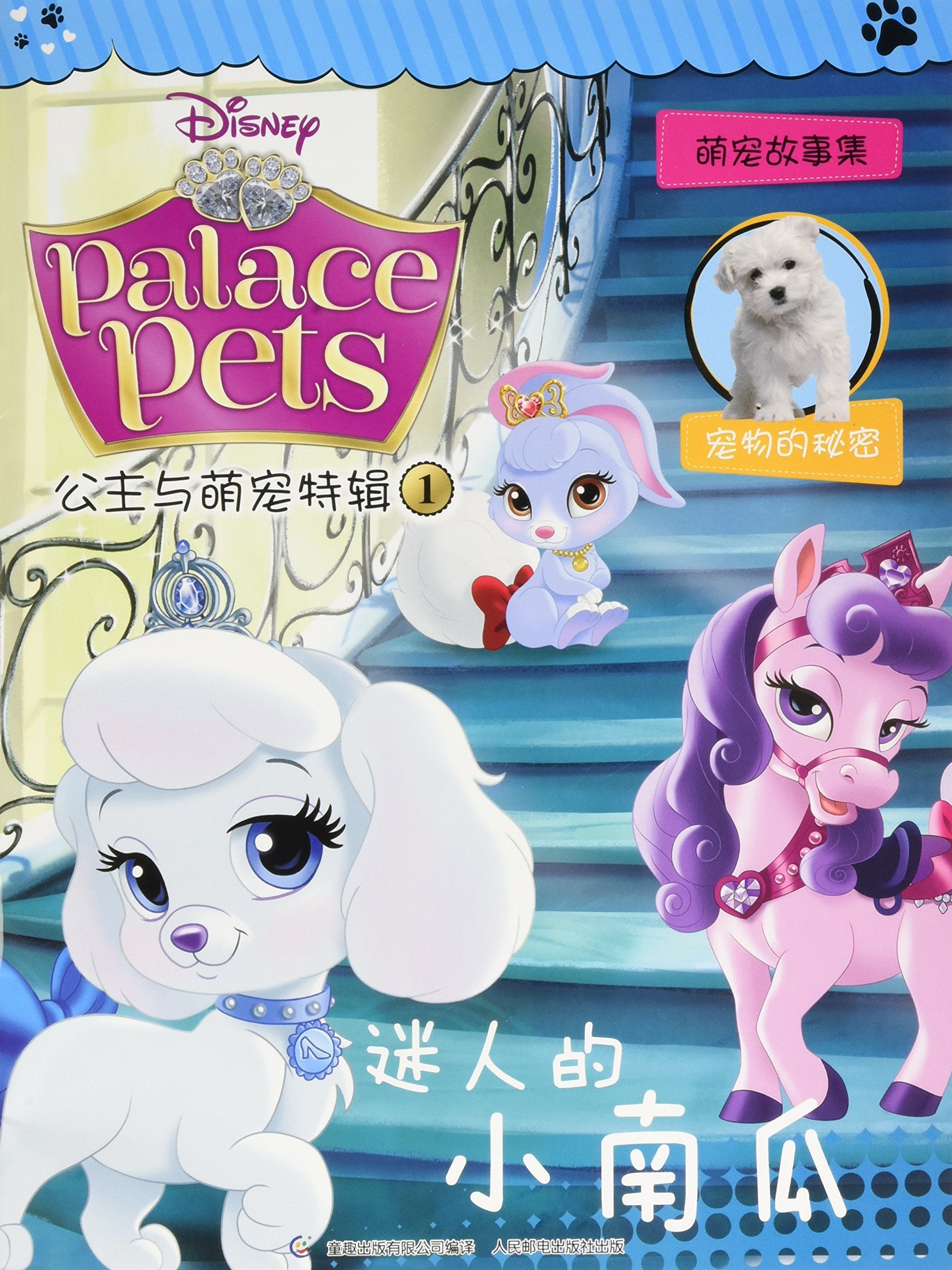 公主与萌宠特辑1：迷人的小南瓜 book