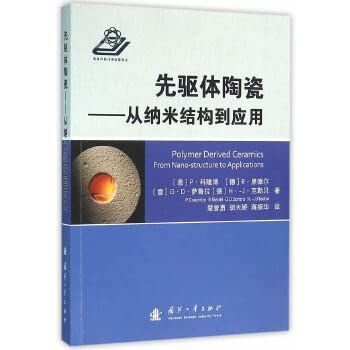 先驱体陶瓷:从纳米结构到应用 Books